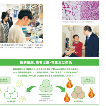 代謝医学 酒井研究室が、東大先端研の広報誌で紹介されました