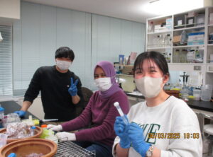 実験の様子