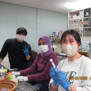 実験の様子