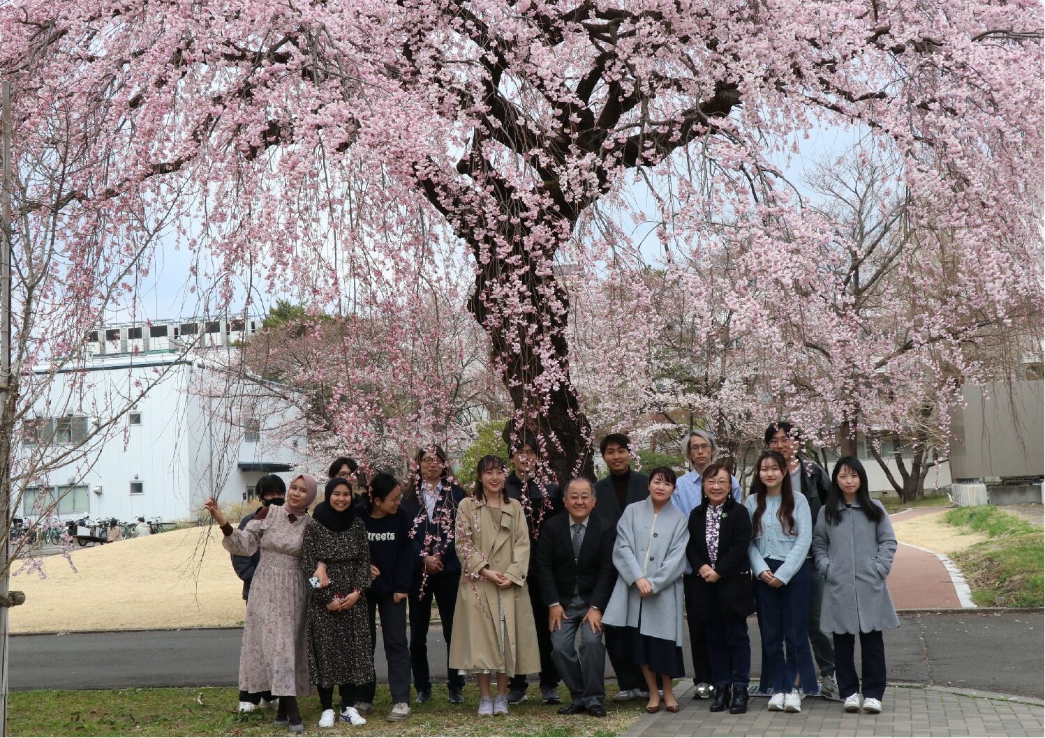 桜の下で集合写真